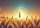 The Symbolism of Wheat in Dreams: A Gateway to Prosperity and Spiritual Reflection