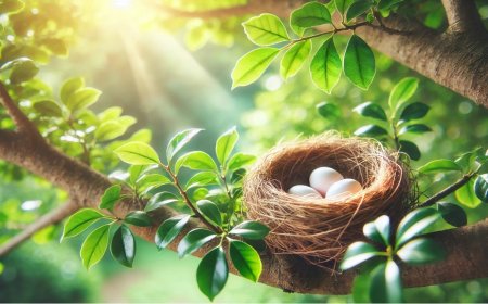 The Symbolism of a Bird's Nest in Dreams: Insights from Ancient Wisdom and Modern Psychology