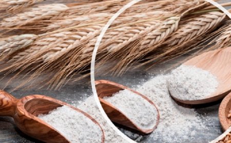 What Does It Mean to Dream of Flour? Exploring Islamic Interpretations of Wealth, Purity, and Divine Provision