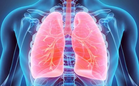What Does It Mean to See Lungs in a Dream? Life, Joy, and Spiritual Messages