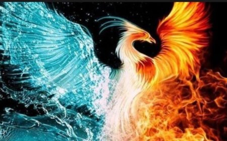 What Does It Mean to See a Phoenix (Anka Bird) in a Dream? Profound Islamic Interpretations