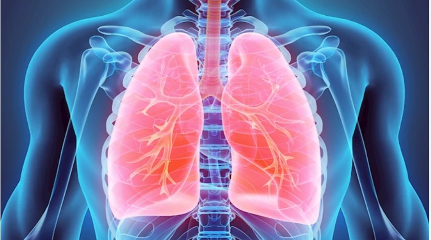 What Does It Mean to See Lungs in a Dream? Life, Joy, and Spiritual Messages