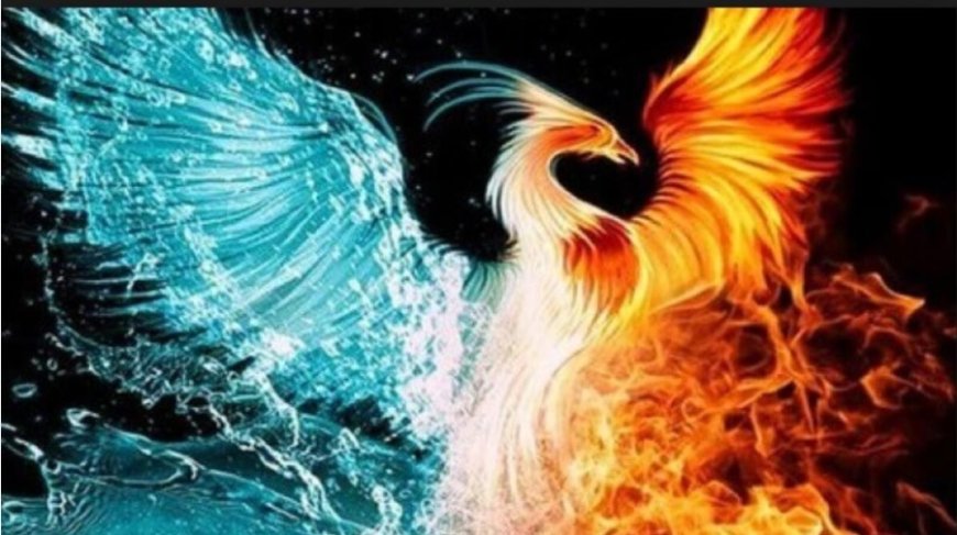 What Does It Mean to See a Phoenix (Anka Bird) in a Dream? Profound Islamic Interpretations
