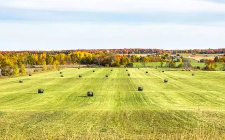 What Does It Mean to See Land, Earth, or Ground in a Dream?