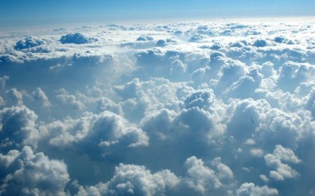 What Does It Mean to Dream of the Divine Throne (Arsh)? A Symbol of Spiritual Status and Honor