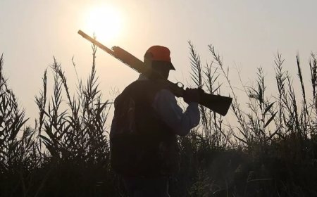 What Does It Mean to Dream About Hunting? Surprising Interpretations Revealed