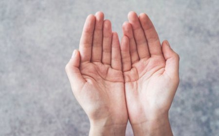 What Does It Mean to Dream of a Palm? Deep Interpretations from Ancient Sources