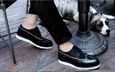 What Does It Mean to Dream of Shoes? Uncover the Detailed Interpretations