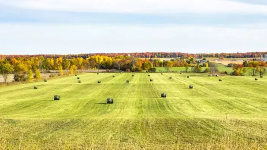 What Does It Mean to See Land, Earth, or Ground in a Dream?