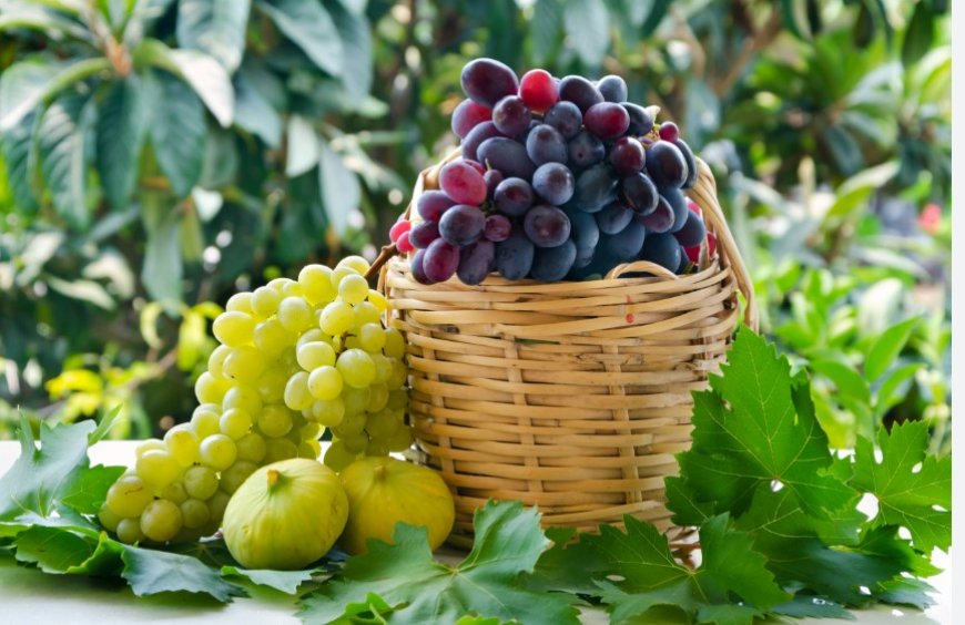 What Does It Mean to See Grapes in a Dream? Detailed Interpretations from Ancient Sources
