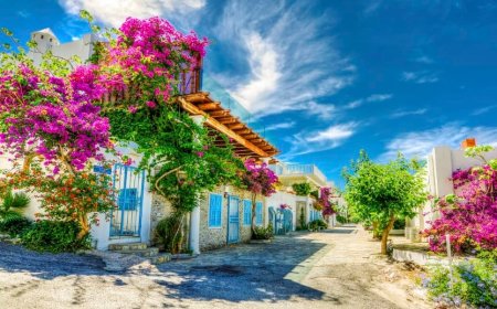 What Does It Mean to See Spring in a Dream? From Fleeting Joy to Divine Favor