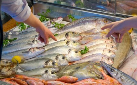 What Does It Mean to Dream About Fish? An In-Depth Islamic Perspective on Fish Dreams