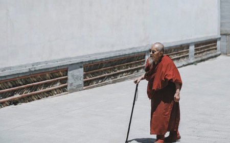 Dreaming of a Cane: A Symbol of Power, Dignity, and Reliable Support