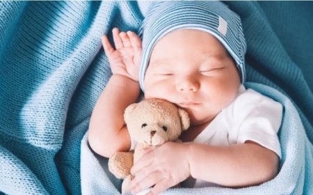 What Is Sleep? A Daily Necessity, a Scientific Mystery