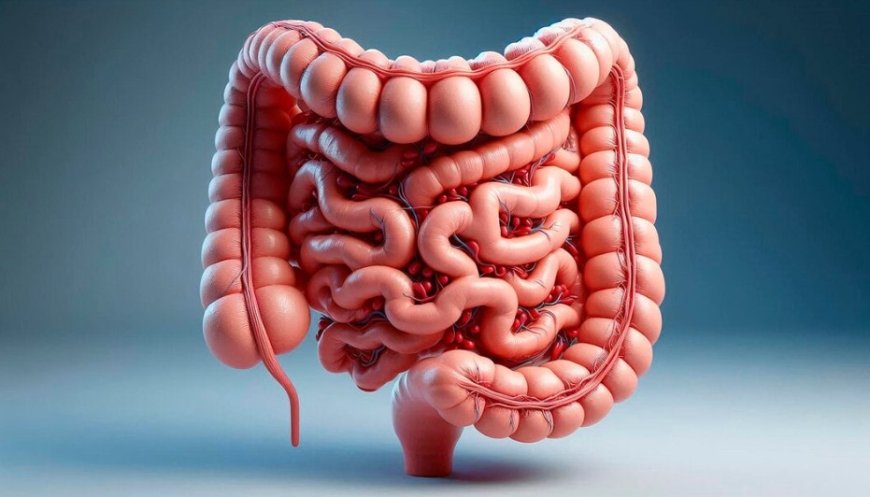 What Does It Mean to See Intestines in a Dream? A Symbol of Hidden Wealth, Suffering, and Redemption