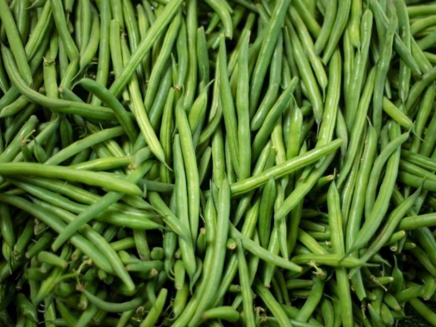 The Power of Cowpea: Nature’s Secret to a Healthier Life