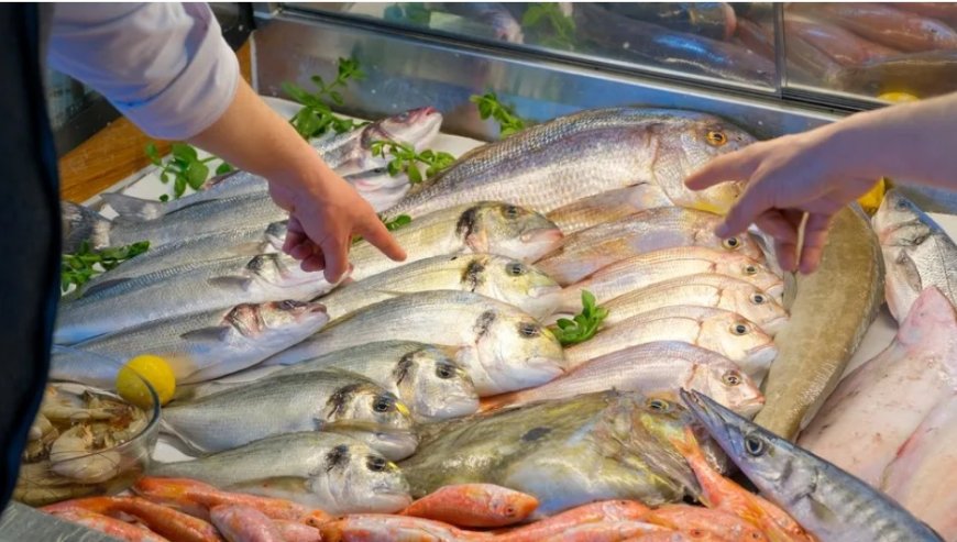 What Does It Mean to Dream About Fish? An In-Depth Islamic Perspective on Fish Dreams