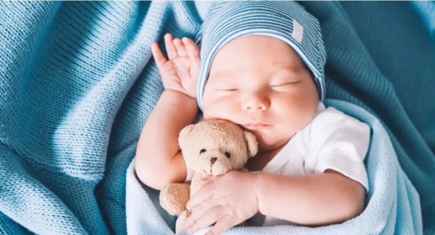 What Is Sleep? A Daily Necessity, a Scientific Mystery