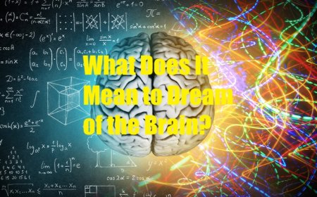 What Does It Mean to Dream of the Brain? Hidden Wealth, Intelligence, and the Ethics of Consumption