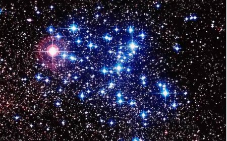 What Does It Mean to Dream of Stars? Honor, Knowledge, Prosperity—and Warnings