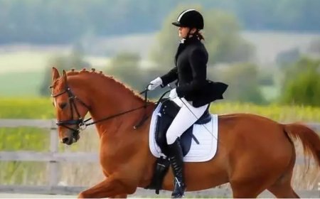 Dream Interpretation: What It Means to See Horse Riding in a Dream