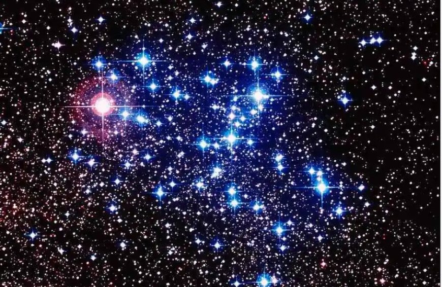 What Does It Mean to Dream of Stars? Honor, Knowledge, Prosperity—and Warnings