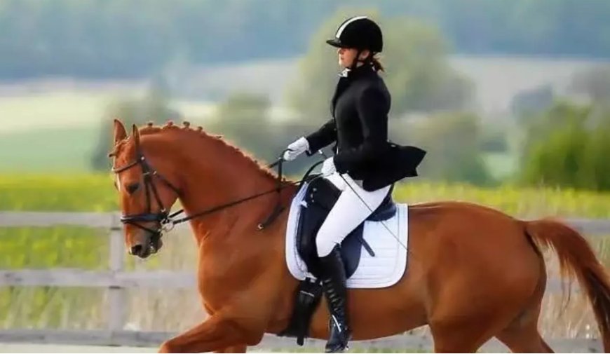 Dream Interpretation: What It Means to See Horse Riding in a Dream