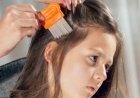 What Does Dreaming of Lice Mean? A Western Psychological Reading - Freud, Jung, Adler