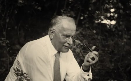 Dreams in Jungian Psychology: Symbols, Archetypes, and the Search for Balance