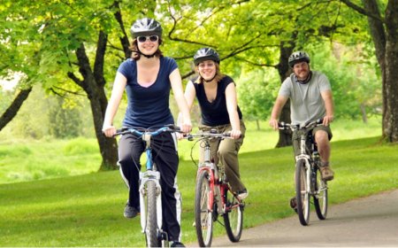 What Does It Mean to Dream of a Bicycle? Journeys, Challenges, and Decisions