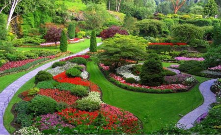 Seeing Plants in a Dream: Growth, Care, and a Call to Re-Root