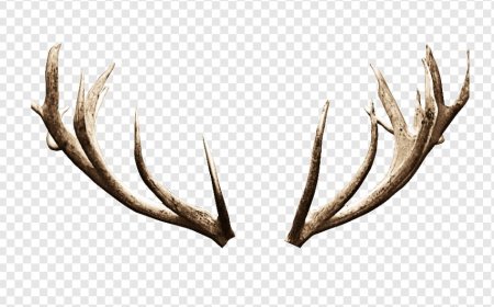 What Does Seeing Horns in a Dream Mean? Power, Profit, and Caution