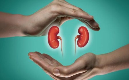 Dream Interpretation of Kidneys: Insights from Classical Scholars
