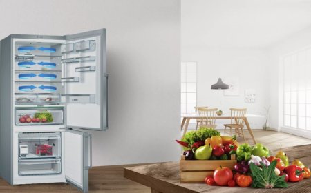 Dreaming of a Refrigerator: Secrets, Prosperity, and Household Order in Islamic Sources