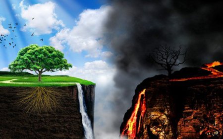 What It Means to Dream of Paradise: Readings by Islamic Dream Interpretation Scholars