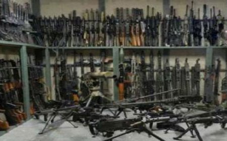 What Does Dreaming of Ammunition Mean? Power, Precaution and Social Signals