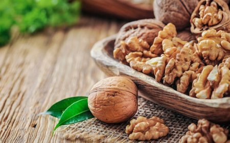 What Does Dreaming of Walnuts Mean? Wealth, Conflict, and Tests of Character