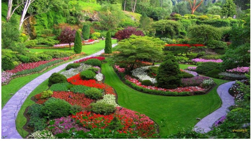 Seeing Plants in a Dream: Growth, Care, and a Call to Re-Root