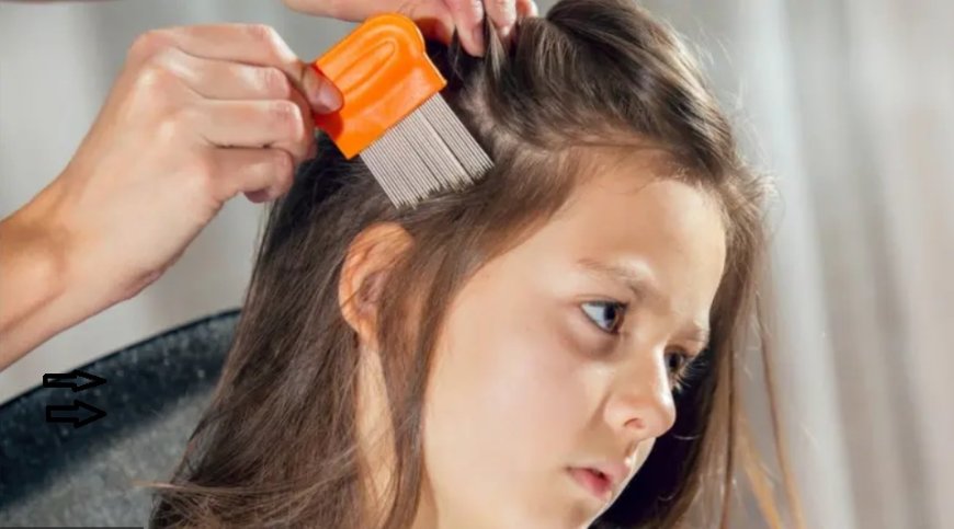 What Does Dreaming of Lice Mean? A Western Psychological Reading - Freud, Jung, Adler