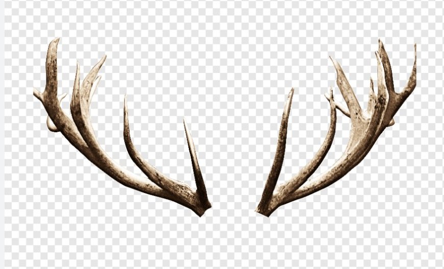 What Does Seeing Horns in a Dream Mean? Power, Profit, and Caution
