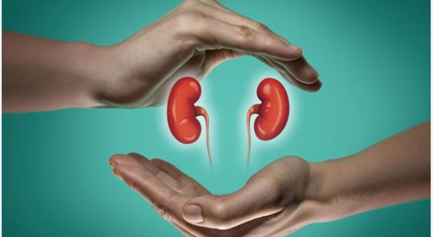 Dream Interpretation of Kidneys: Insights from Classical Scholars