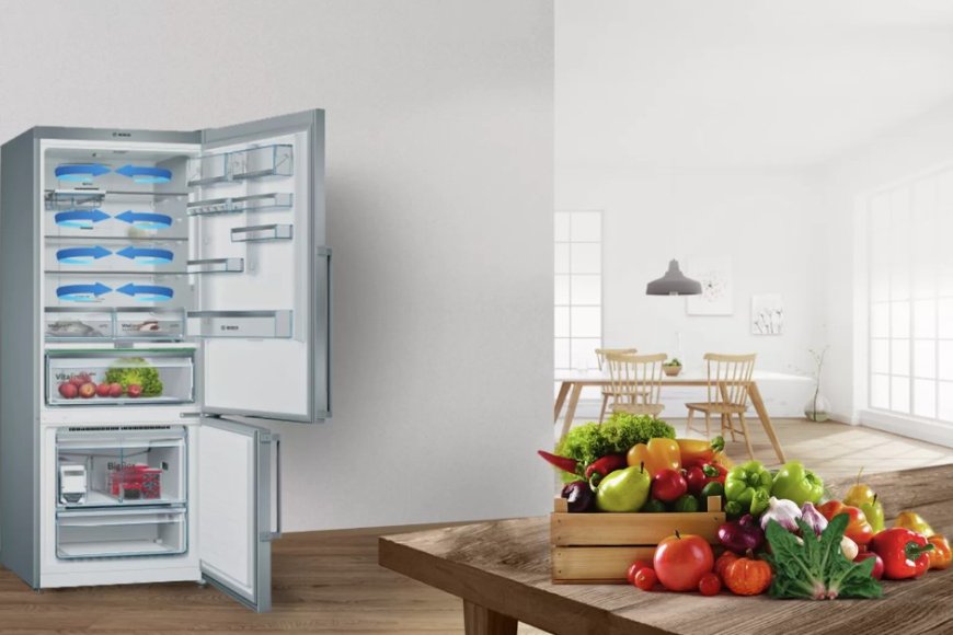 Dreaming of a Refrigerator: Secrets, Prosperity, and Household Order in Islamic Sources