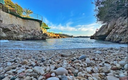 What Does Dreaming of Pebbles Mean? Wealth, Pilgrimage, Testimony, and Moral Cautions