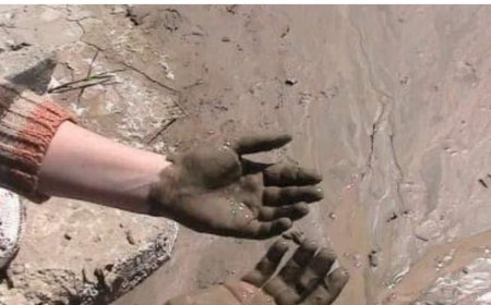 Dreaming of Mud: Trials, Purification, and the Fine Balance of Fate