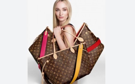 Dreaming of a Bag or Suitcase: Secrets, Journeys, and Turning Points