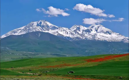 Dreaming of a mountain: Comprehensive Islamic interpretations
