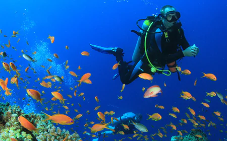Dreaming of a diver: Deep meanings and spiritual insights