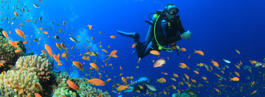Dreaming of a diver: Deep meanings and spiritual insights