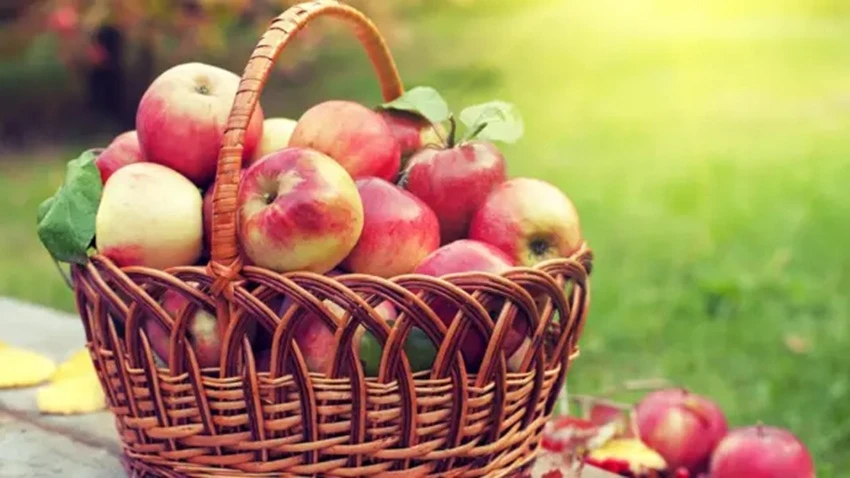 Dreaming of Apples in Islam: Color, Taste and Meaning Explained by Scholars