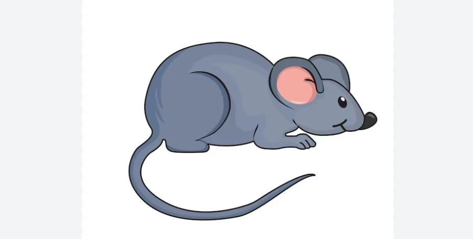 What does seeing a mouse in a dream mean? Rizq, theft and warning